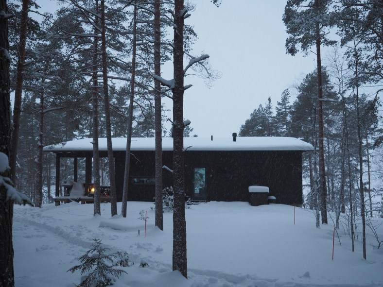 hirsihuvila hankien keskellä